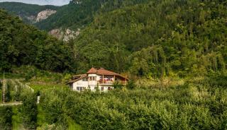 Weingut & Apartments Weitgruber Raffeis - Merano - 5