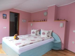 Casa Doma'r - Alina - Sibiu - 2