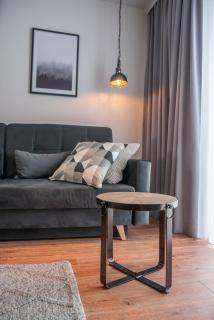 Apartament Kasztanowy blisko centrum - Dream Apart - Szczyrk - 1