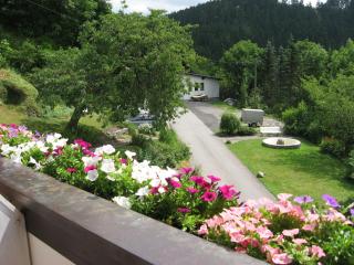 Ferienwohnungen Otto - Schmallenberg - 7