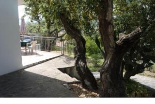 Villa Colle Lido by Agenzia SolturElba - Capoliveri - 6