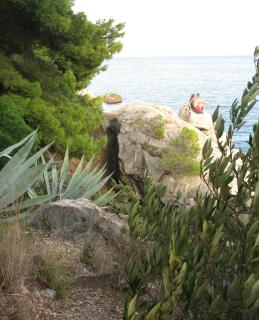 Eliva - Trogir - 9