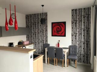 Apartamenty Jelenia Góra Imperial 501-294-838 - Jelenia Góra - 8