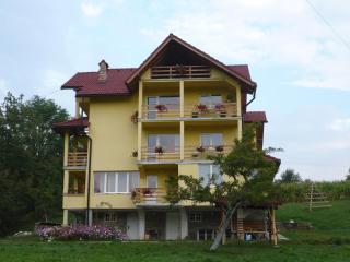 Pensiunea Tiuta - Corbeni - 5
