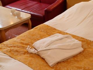 Hotel Fine Tottori Sakyu (Adult Only) - Tottori - 4