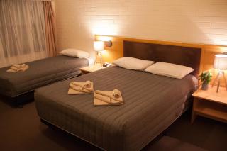 Angaston Vineyards Motel - Angaston - 5