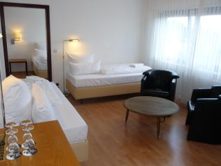 Hotel Restaurant Felderbock - Nußloch - 3