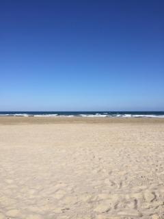 CL Picasso 8 - Playas de Orihuela - 6