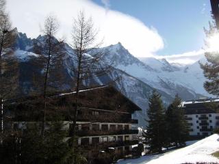 Studio Les Drus / Studio du Brévent - Chamonix - 9