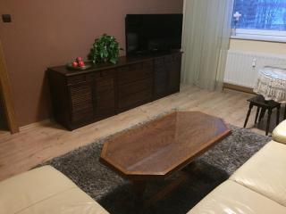 DELI Tatry Apartment - Poprad - 9