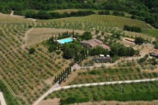 La Pergola - Castellina in Chianti - 0