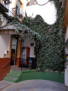 Hostal Alcobia - Sevilla - 4