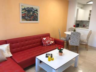 Ascona Principessa Apt 3 - Ascona - 7