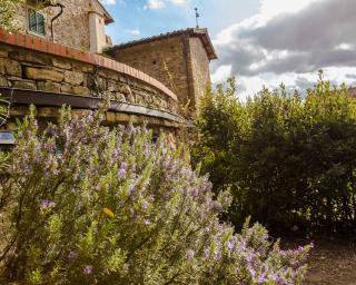 Fattoria Poggio di Fiesole - Fiesole - 2