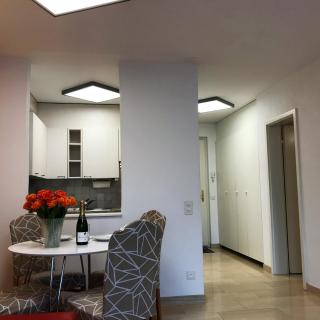 Ascona Principessa Apt 3 - Ascona - 4