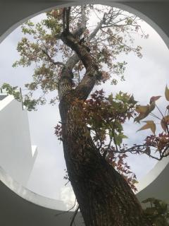 Lof/it - Città di Taitung - 5