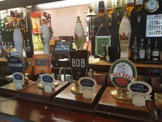 The Dog Inn - Bristol - 4