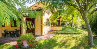 Tenuta Moriano - Montespertoli - 4
