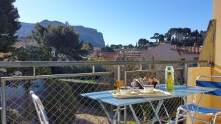 Le mimosa - Cassis - 0