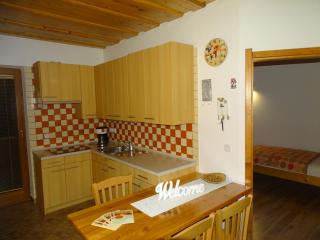 APARTMA KOŠNIK - Bohinj - 8
