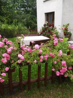 Guest house Emmy - Trigrad - 8