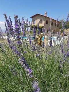 Villa Bella Costa - 4