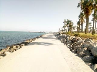 Mustapha 3 - Nador - 7