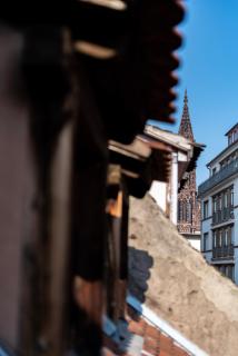 CityCosy Strasbourg - Budget St Thomas Serruriers - Strasbourg - 6