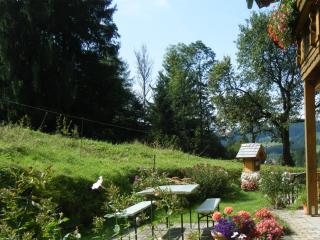 Ferienwohnungen Bergerhof - 9