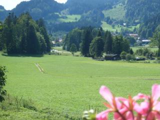 Ferienwohnungen Bergerhof - 8