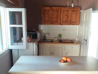 Elm Tree Dream Catcher - 3