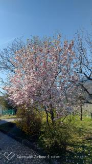Unterdornerhof - Algund - 4
