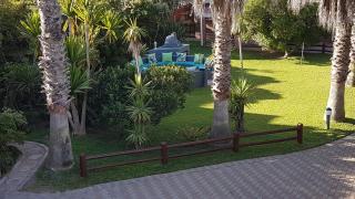 The Gull - Sedgefield - 2
