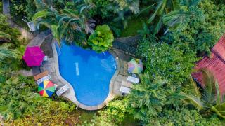 Cabinas Iguana Cahuita - 7