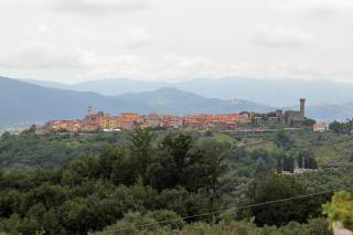 Fattoria Cristina Bilo Rosa - Castelnuovo Magra - 7