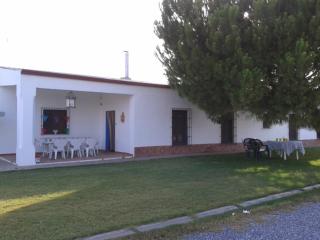 Casa rural la noria - Los Palacios y Villafranca - 4