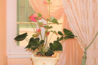 Fiore d'arancio Luxury City Center Apartment - Verona - 5