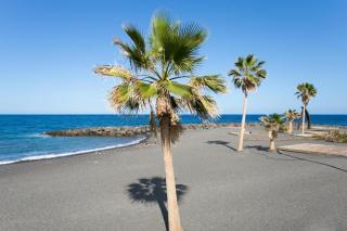 Bright spacious apartment, 2 min walk from beach - Candelaria - 0
