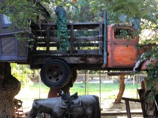 Wine Country Private Working Sheep Farm; Rustic Elegance - Temecula - 1