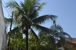 Pousada Recanto da Praia - Bertioga - 5
