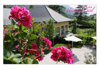 Hotel Hochsteg Gütl | Traunsee Salzkammergut - Ebensee - 5