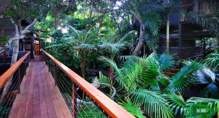 Shambhala @ Byron - 3