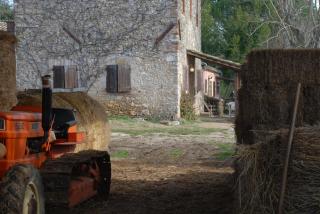 Silence and relaxation for families and couples in the countryside of Umbria - Porchiano del Monte - 1