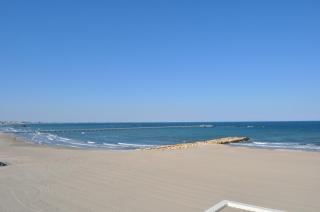 Hotel Golden Palace - Mamaia - 8