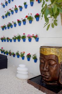 Apartamentos Casa-Patio Las Palmeras - 1