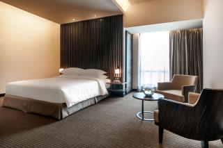 Hyatt Raipur - Raipur - 4