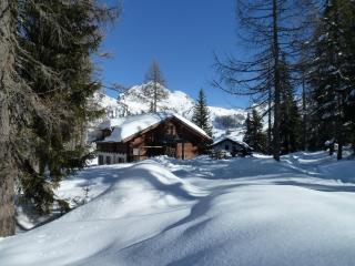 Almhaus Lärchegg - 8