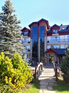 Hotel Skalny Spa Bieszczady - Polańczyk - 8
