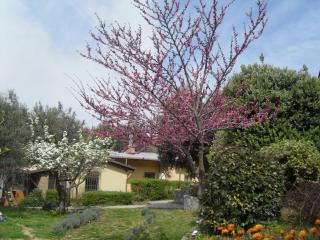 Locazione Turistica Casa in Campagna - Reggio Calabria - 2