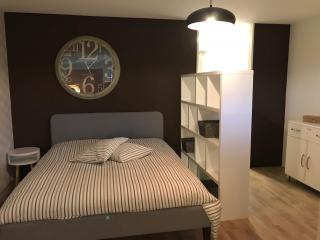 Large Studio Near Epfl And Lausanne City Center - Ecublens - 9